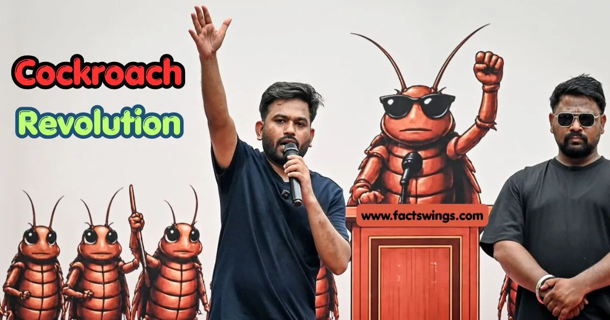 Home 28 cockroach revolution