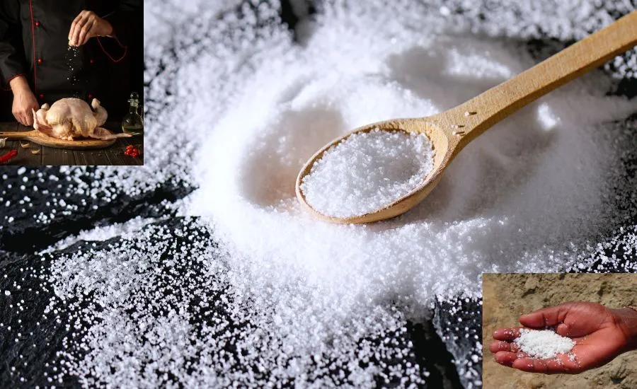 কাঁচা লবণ খাওয়া কি সত্যিই খারাপ? 1 কাঁচা লবণ